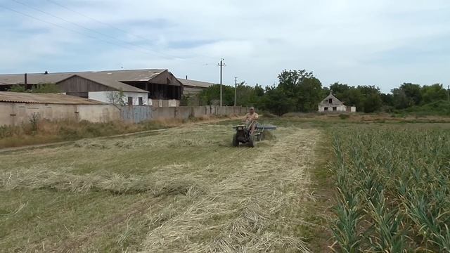 Заготовить сено мотоблоком -ЛЕГКО! смотреть онлайн