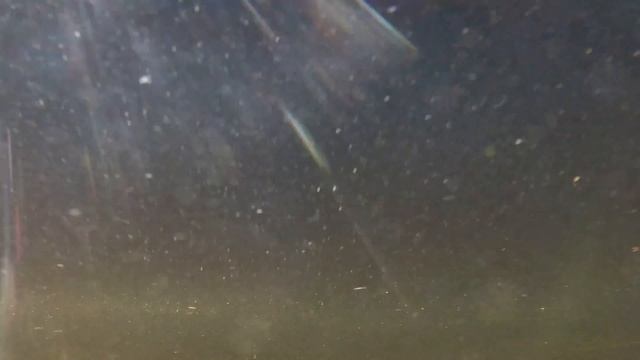 Купание смотреть онлайн