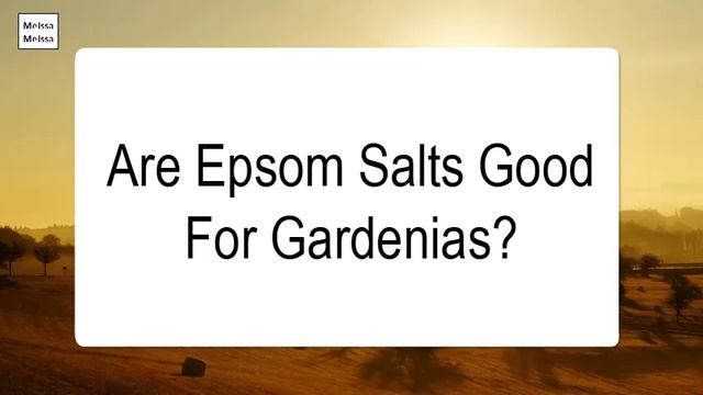 Are Epsom Salts Good For Gardenias