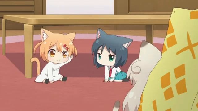 Аниме Кошачьи дни все серии подряд смотреть онлайн