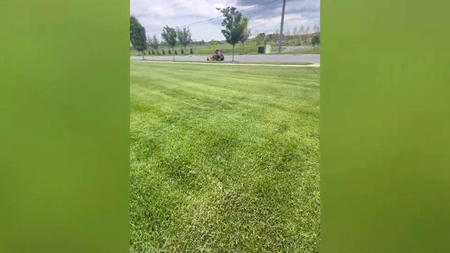 Anderson Fertilizer 16-4-8