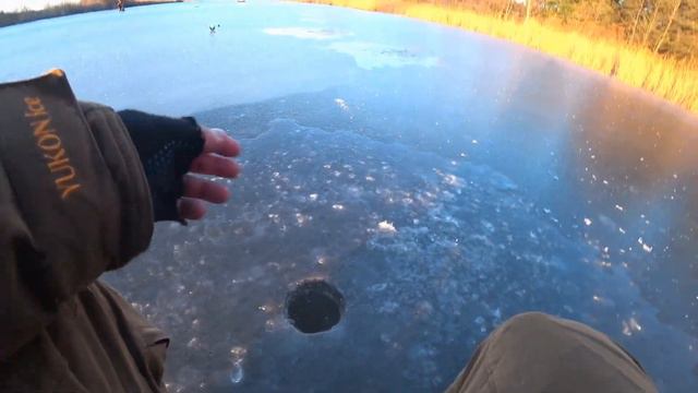 Зимняя рыбалка на балансир ! Ловля окуня и щуки на балансир ! Рыбалка на жерлицы ! смотреть онлайн