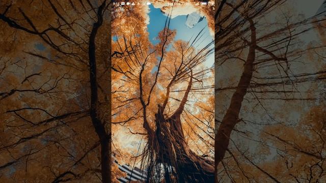 Лови лайфхак с нерабочей симкой и минусовым балансом смотреть онлайн