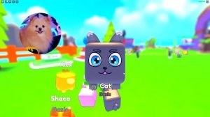 ОТКРЫЛА КАЧАЛКУ В РОБЛОКС ! НОВЫЙ КАЧОК В РОБЛОКС ! НАКАЧАЛАСЬ В ROBLOX