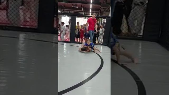 Джиу-джитсу