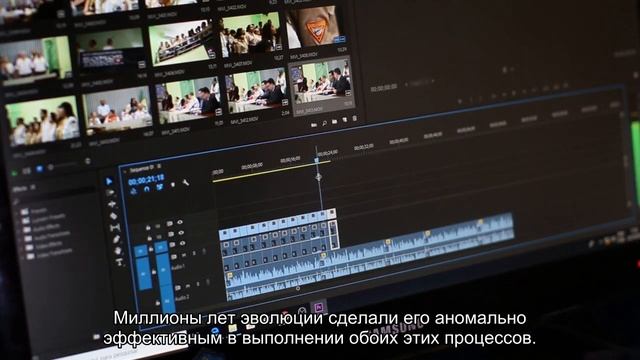 Почему амеба справилась с вычислениями лучше современного компьютера смотреть онлайн