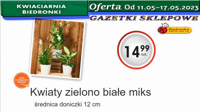 Biedronka | Kwiaciarnia Biedronki Nowa Oferta Od 11.05.2023 | Kwiatowe Inspiracje Biedronki смотреть онлайн