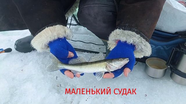 Новогодняя рыбалка на Шершневском водохранилище 4.01.2024! #рыбалка смотреть онлайн