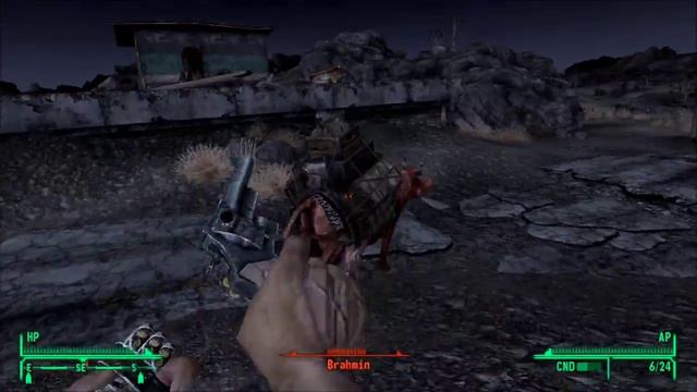 Papa Brahmin смотреть онлайн