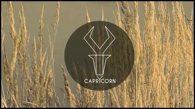 CaprYcorn - Twist in my sobriety смотреть онлайн