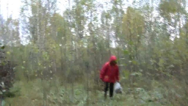 6.10. 15 Саров. За грибами на Филипповку. смотреть онлайн