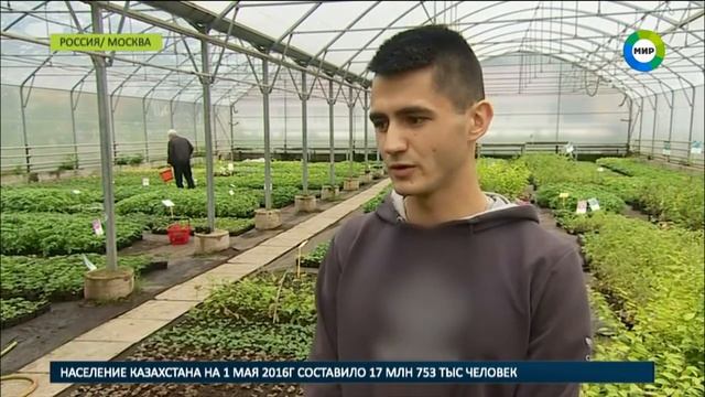 'Дача в большом городе' где в Москве получить экологически чистый урожай смотреть онлайн