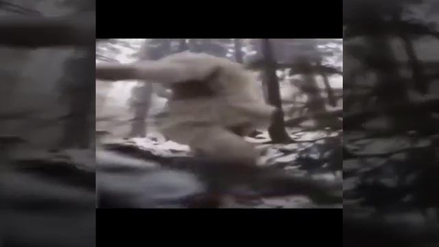 Falling Yeti #memes смотреть онлайн