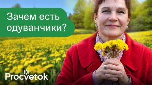 ЭТОТ СОРНЯК ЗАМЕНИТ ВАМ ЦЕЛУЮ АПТЕКУ! Растет везде, а мы и не знаем его невероятной пользы