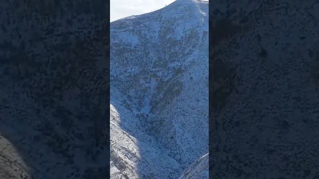 дараи Оби борик ♥️🇭🇺 смотреть онлайн