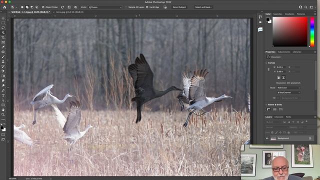 Object Selection tool Photoshop смотреть онлайн
