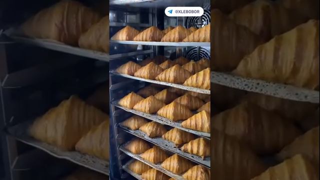 Выпечка круассанов в конвекционной печи #Panemor смотреть онлайн