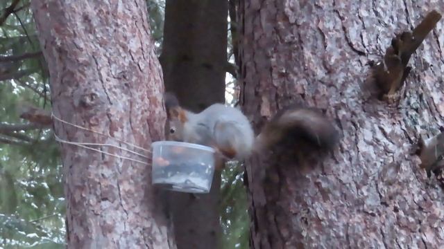 №4326 18 11 2023 Утро смотреть онлайн