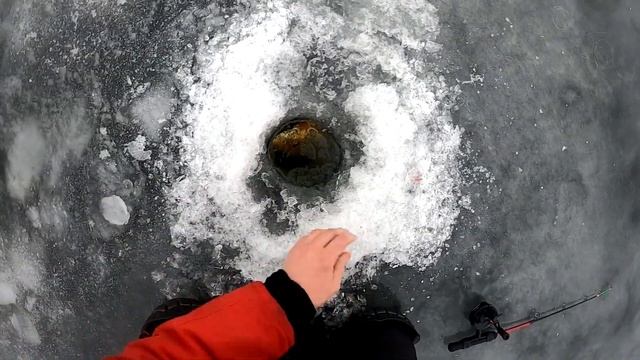 ГЛУХОЗИМЬЕ? ВОТ ЭТО СНАСТЬ! Ловля окуня на балду С СЕКРЕТОМ зимой 2022 смотреть онлайн