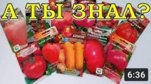 Как выбрать семена ТОМАТОВ? Обзор ПОМИДОРОВ для посадки в 2018!???