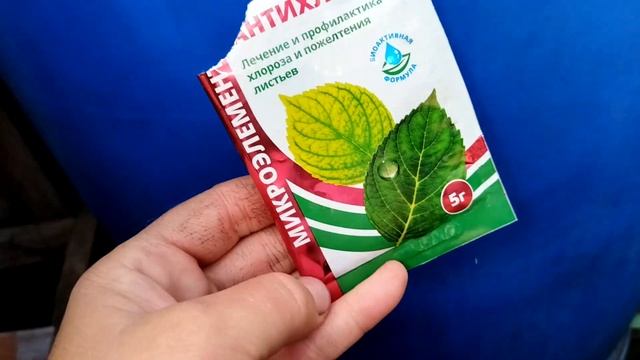 Рассада цветов и овощей Теплица Новинки смотреть онлайн