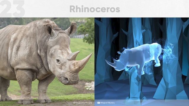 All Patronuses on Wizarding World (Pottermore) || 'Unusual & Rare' List || Hogwarts Legacy смотреть онлайн