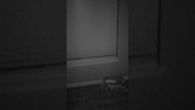 Doogee v20 pro смотреть онлайн