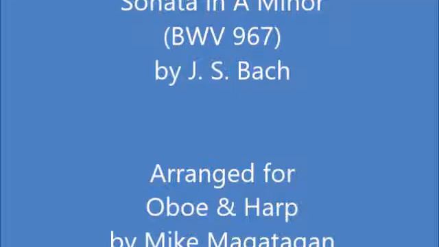 Sonata in A Minor (BWV 967) for Oboe & Harp смотреть онлайн