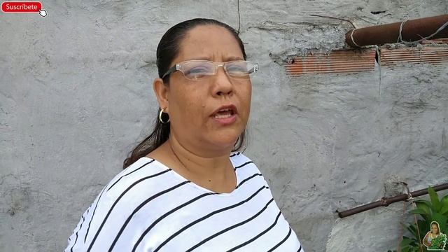 La Hermosa FLORACIÓN De Mi STAPELIA GRANDIFLORA