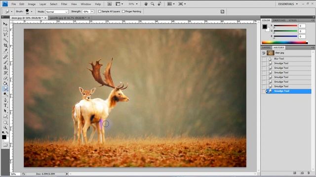 Photoshop 8: Les outils nettetés смотреть онлайн