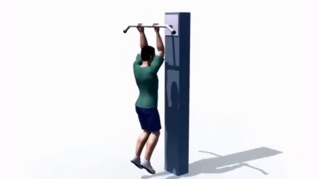 Подтягивание на перекладине хватом снизу смотреть онлайн