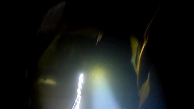 Подводная охота 14.07.2019 год. (Трофейный лещ 3,100 кг. ) смотреть онлайн