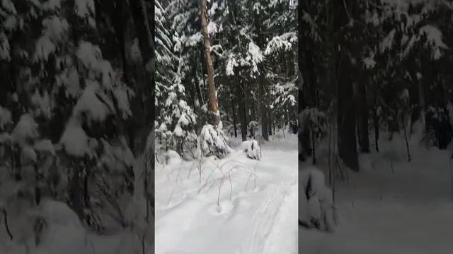 Какие предметы нужно добавить в школьную программу? смотреть онлайн