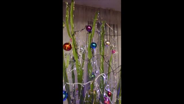 Новогодняя ёлочка из молочая :) смотреть онлайн