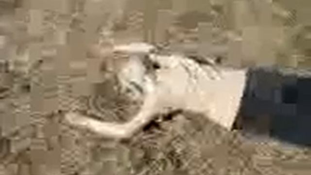 Кровавая зона 1 Пикник в аду смотреть онлайн