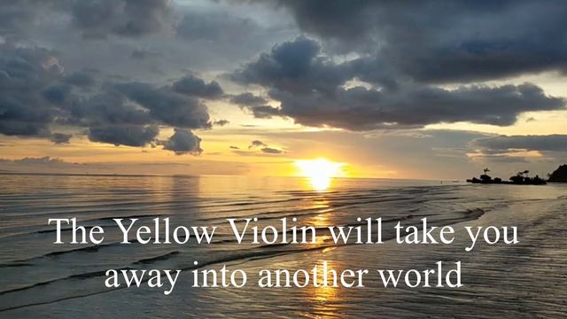 The Yellow Violin Promo II