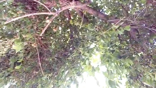 А как можно передохнуть и спрятаться от жары. смотреть онлайн