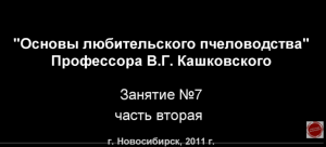 Курсы В Г Кашковского. Занятие №7/2