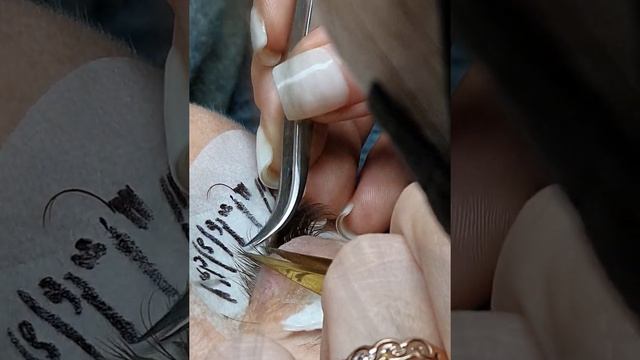 Постановка 2Д объема. Коричневые ресницы. Наращивание ресниц. Работа ученицы на повышении. смотреть онлайн