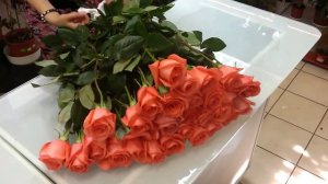 Доставка Роз в Мурманске. Роза "Мови стар"