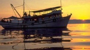 Волшебная ночь Исп  С  Морозов