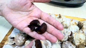 Черный чеснок (Black Garlic) / Чёрный чеснок как приготовить в домашних условиях / Паста из чеснока