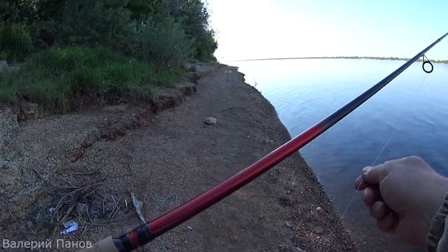 Blue Fox Vibrax и SHIMANO CATANA DX 270 UL 1-11, SHIMANO CATANA 2500 FC \ Тест вращающихся блесен