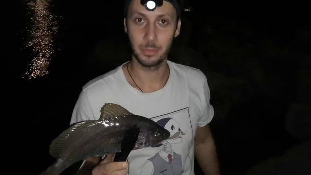 Рыбалка на море! Отводной поводок и тирольская палочка! смотреть онлайн