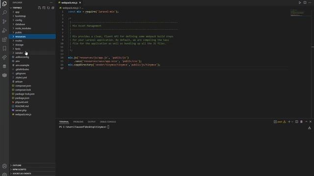 How to add TinyMCE in Laravel смотреть онлайн