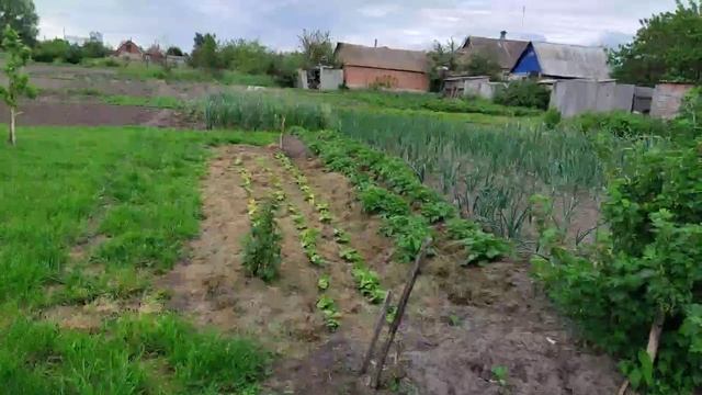 Как живем, что едим... смотреть онлайн
