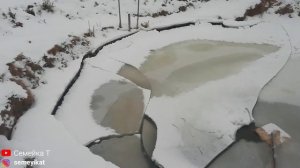 Нашу рыбу в пруду спасёт греющий кабель-АЭРАЦИЯ зимой и глюк GSM розеток|Свой пруд на участке-даче