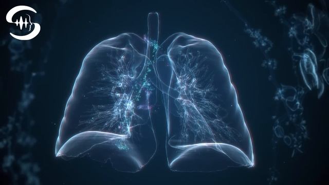 Lungenreinigung Frequenz - Atemwegserkrankungen Heilen - Entgiftung Der Lunge