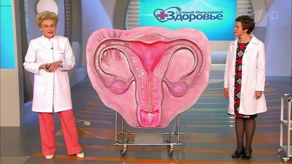 Странные вопросы о женской груди. Формирование гру...вочки. Здоровье. Фрагмент выпуска от 04.10.2015