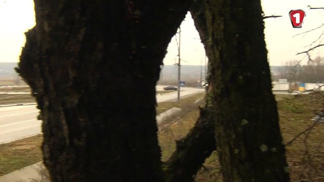 Chery M11. Модельный ряд (HD). (УКР)